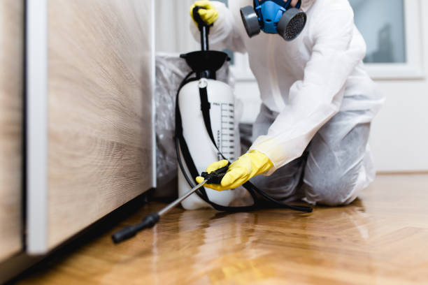 Best Best Pest Control Companies  in Sunset, FL