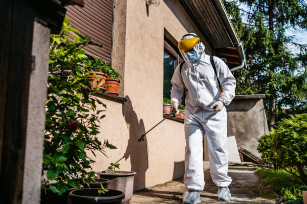 Best Residential Pest Control  in Sunset, FL
