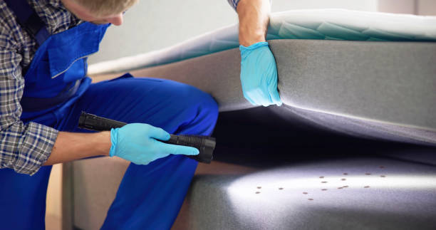 Best Exterminator Services  in Sunset, FL