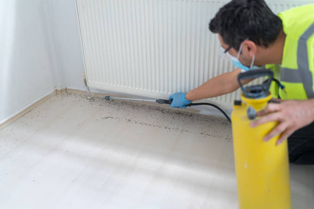 Best Pest Removal Services  in Sunset, FL